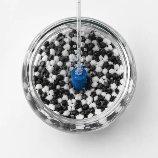 Créer un aquarium pour poisson rouge : un espace de vie sain et élégant à la maison