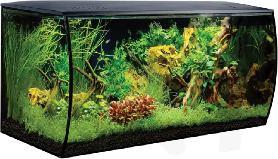14995 Verre Flex 123 L Noir
