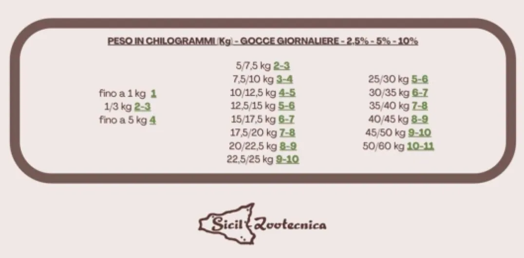 51ZDa4Dia5L._AC_SL1282_