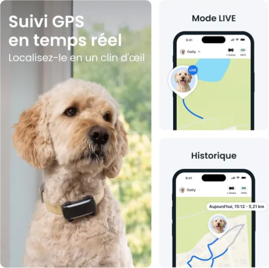 Tractive Tracker GPS intelligent XL pour chien - Modèle 2026 - Localisation GPS en direct - Alarme de course et avertissements de santé - Surveillance des signes vitaux - Longue durée de vie de la