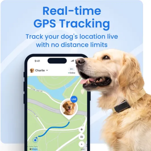 Tractive – Collier GPS pour chien - 2025 Édition - Leader du marché - Localisation en direct - Alertes anti-fugue - Moniteur d'activité et d'aboiements - Alertes de santé (Marron)