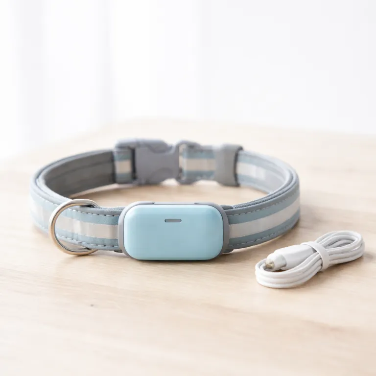 Choisir un collier GPS pour chien pas cher sans sacrifier la sécurité