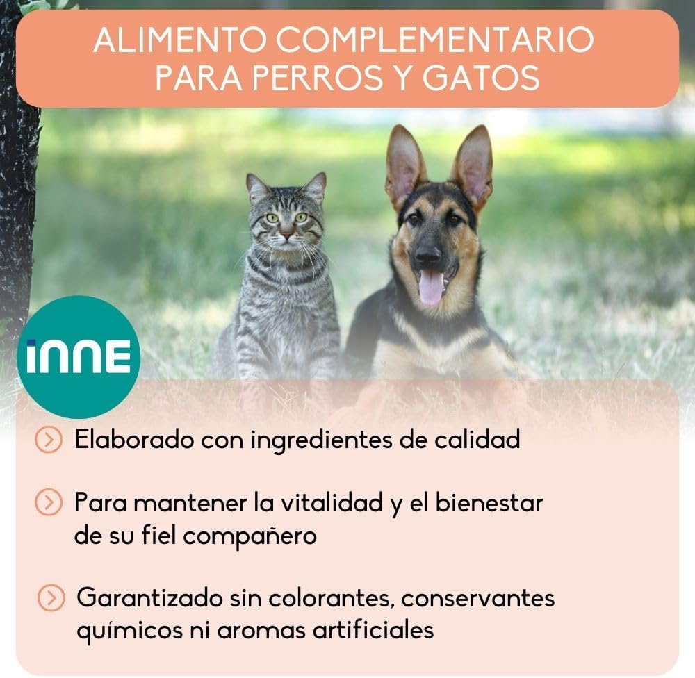 NUTRIVET - Aliment Complémentaire - Chiens & Chats - Huile de Saumon - Riche en Omegas 3 et 6 - Flacon-Pompe 1L 1 l (Lot de 1)