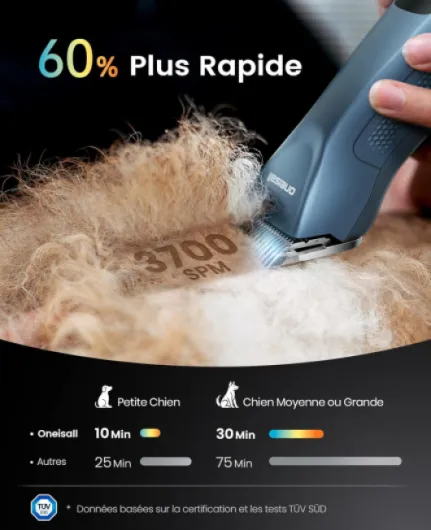 Tondeuse Professionnelle pour Chiens 2*batterie à Poils long epais, Tondeuse Chiens et Chats puissante, 2 Vitesses Silencieuse pour Animaux à Poils Epais-Longs-Bouclés, Batterie Amovible - Blanc 2*Batterie