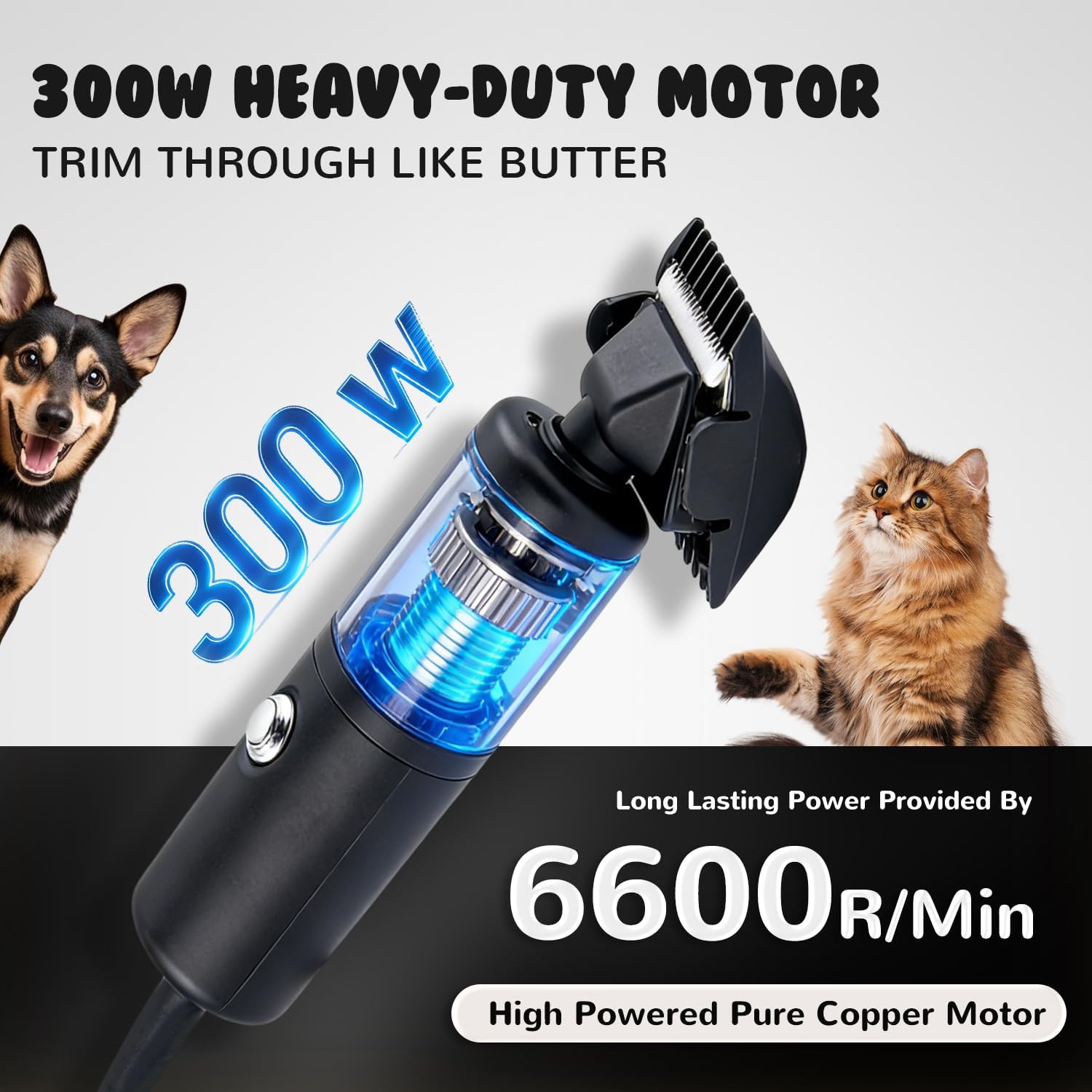 300W Tondeuse Professionnelle pour Chien, Vitesse Infinie 2000-6000T/min, Bruit Bas <50dB, Câble 3m, 2 Lames Amovibles, 2 Peignes (3/6mm,9/12mm) pour Chiens, Chats & Tous Poils (Noir)