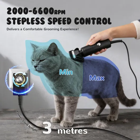 71CiAjrmREL._AC_SL1500_