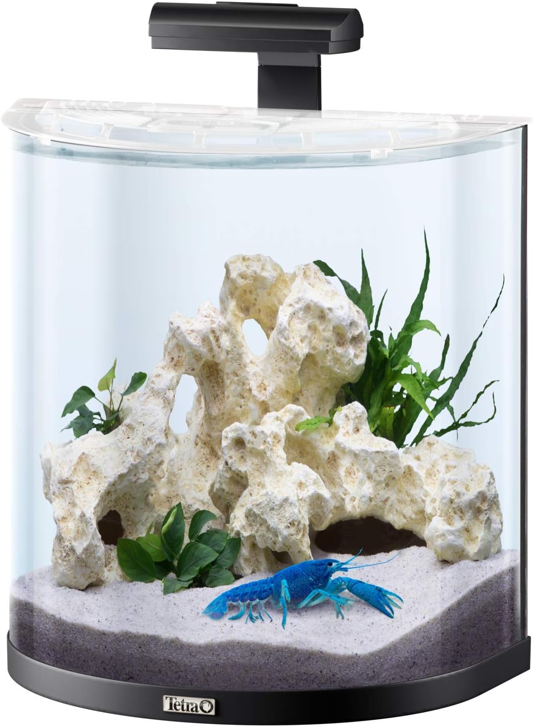 Tetra AquaArt Explorer Line Aquarium pour Crabe Set Complet Capacité 30 l Noir