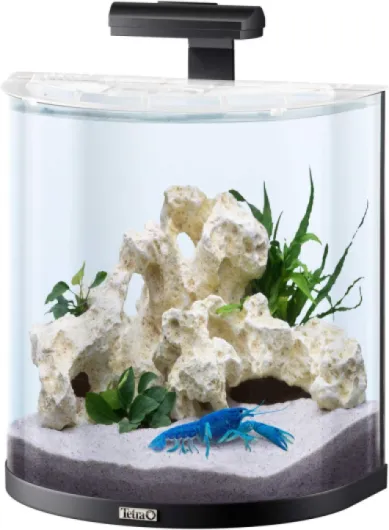 Tetra AquaArt Explorer Line Aquarium pour Crabe Set Complet Capacité 30 l Noir