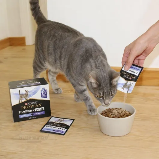 PURINA - ProPlan FortiFlora Plus pour Chats, 30 sachets x 1,5 grammes - Aide à maintenir la santé du microbiome intestinal