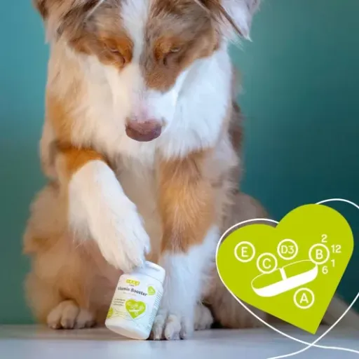 Test Grau Vitamin Booster env. 120 pcs : le complément vitamines/cellulose qui fait le job sans chichi