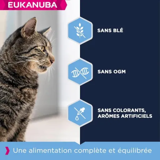 Test Eukanuba Croquettes Premium Chat Stérilisé 10 kg : du sérieux pour le poids, sans chichis