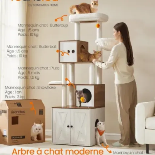Test Feandrea Arbre à Chat Moderne 180 cm : enfin un arbre qui ne flingue pas le salon