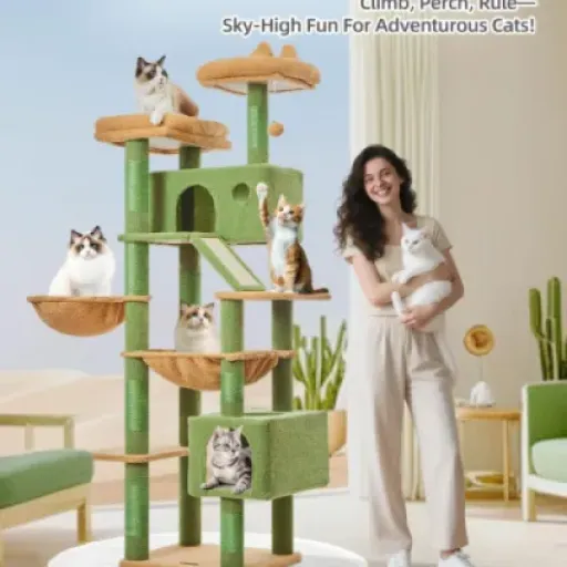 Test Taoqimiao Arbre à Chat Maine Coon 180 cm : gros griffoir pas cher qui fait le job pour grands chats