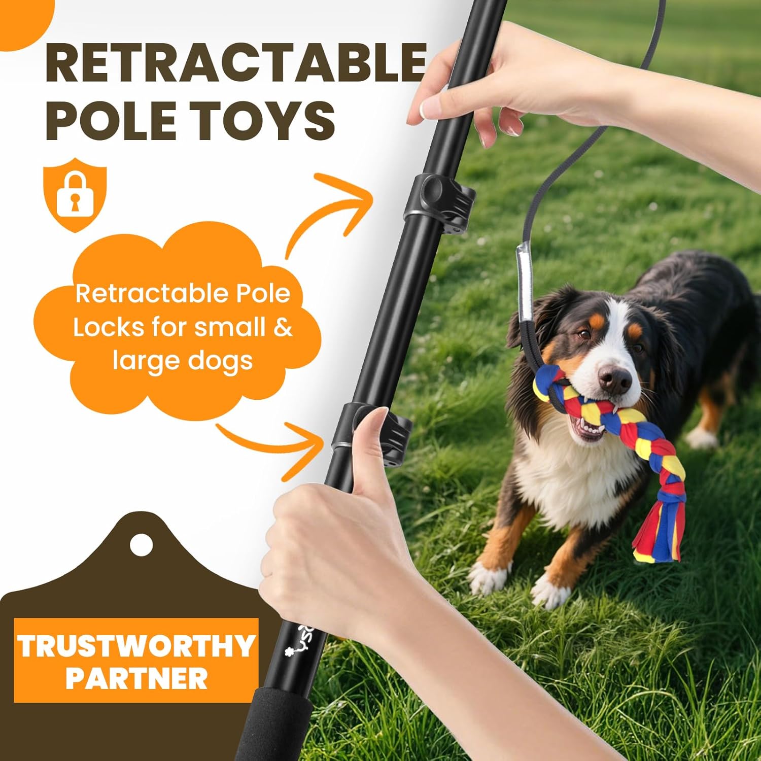 Ycozy Flirt Pole pour Chien, Teaser Extensible 103cm avec 3 Rechange Jouets de Corde Interactif pour Chien Tug Extérieur Exercice