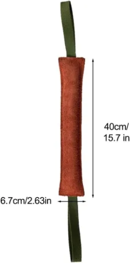 41ecP8PPgaL._AC_SL1000_