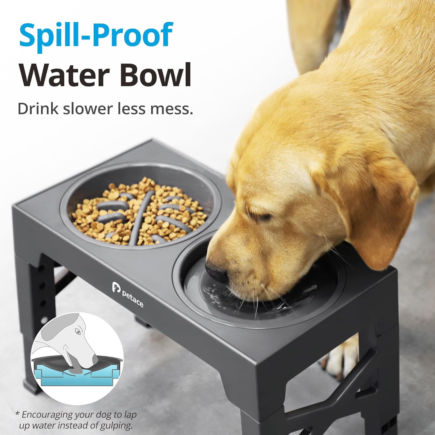 Gamelles Chiens Surélevées de 5 Hauteurs Ajustables, Support Surélevé avec 1 Gamelle Anti-Glouton et 1 Gamelles Inox et 1 Gamelle Anti-Éclaboussure pour Chien de Taille Moyenne et Grande, Grise Version 2