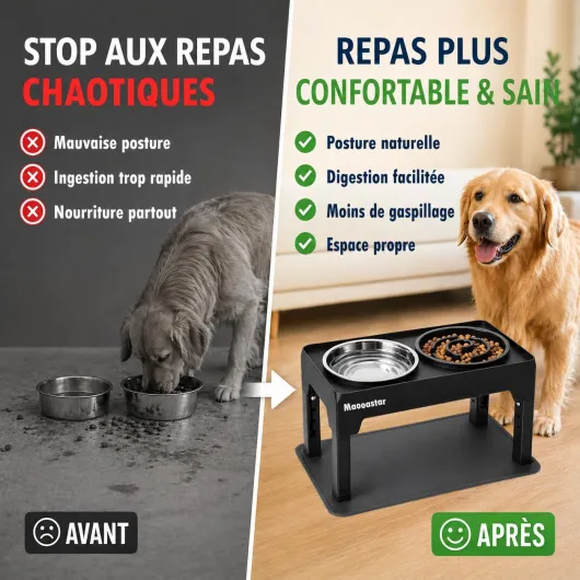 Gamelle Surélevée pour Chien Réglable – 5 Hauteurs Ergonomiques – Améliore Posture & Digestion – 2 Bols INOX 1200ml + Anti-Glouton 800ml – Tapis Antidérapant – Chiens Petits, Moyens, Grands Noir