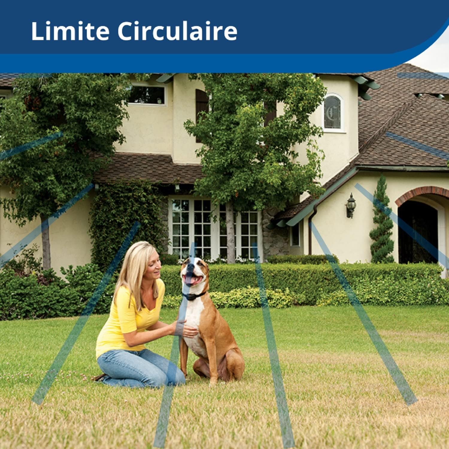 Collier Anti-Fugue pour Chien Têtu Supplémentaire pour Clôture Anti-Fugue sans Fil PetSafe, Rechargeable, 5 Niveaux Réglables de Stimulation et Mode Bip Collier rechargeable pour chien têtu Standard