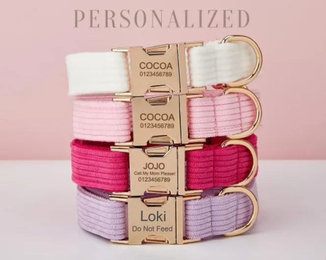 Collier pour chien personnalisable avec boucle en métal, colliers personnalisables pour animaux de compagnie avec nom, numéro de téléphone, adresse gravée, Velours côtelé