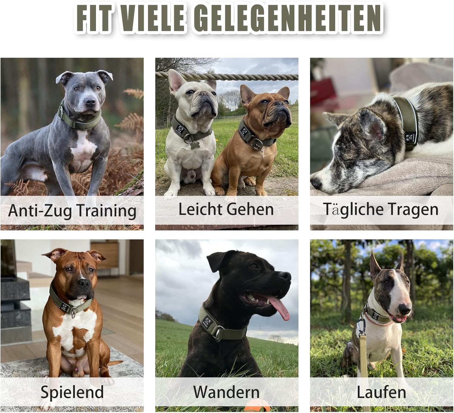 Collier pour Chien Semi Étrangleur, Résistant Nylon Collier de Dressage avec Souple Rembourré & Fils Très Réfléchissants, Sécurité Anti-Traction Collier Éducative pour Chiot Petits Moyens Grands Armée Verte M (Cou 43-51cm, Largeur 4cm)