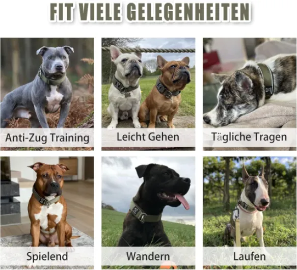 Collier pour Chien Semi Étrangleur, Résistant Nylon Collier de Dressage avec Souple Rembourré & Fils Très Réfléchissants, Sécurité Anti-Traction Collier Éducative pour Chiot Petits Moyens Grands Armée Verte M (Cou 43-51cm, Largeur 4cm)