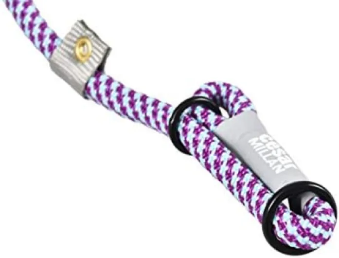 Cesar Millan Laisse pour chien Laisse – Collier semiétrangleur Laisse d'entraînement vous donne Plus de contrôle et la Possibilité de rendre rapide et en douceur des Corrections, 48 One Size Fits Petit/Moyen Aqua/Violet