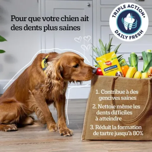 Test Pedigree Dentastix Fresh petit chien : des sticks qui font (globalement) le job pour les dents et l’haleine