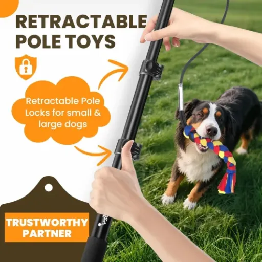 Test Ycozy Flirt Pole pour Chien : une perche de jeu qui fait le job sans être parfaite