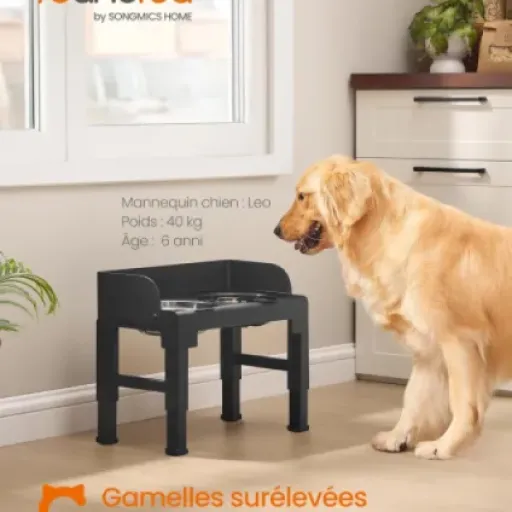 Test Feandrea PRB103B01 : la gamelle surélevée qui fait le job sans prise de tête