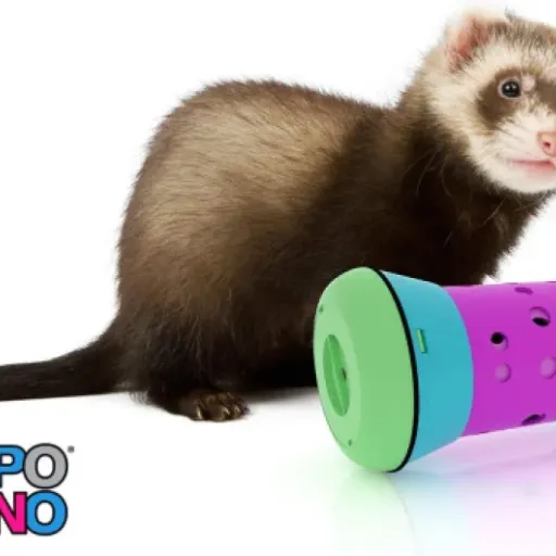 Test Pipolino Chat S : le tube à croquettes qui calme (un peu) les chats gloutons