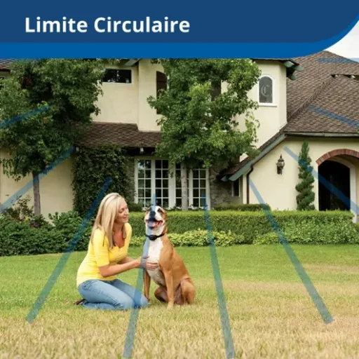 Test PetSafe Collier Anti-Fugue pour Chien Têtu : ça calme vraiment les fugueurs, mais faut accepter le principe
