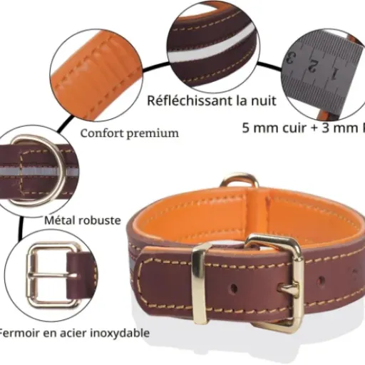 Test Collier cuir WowwCollars : un collier costaud qui fait le job pour les gros chiens