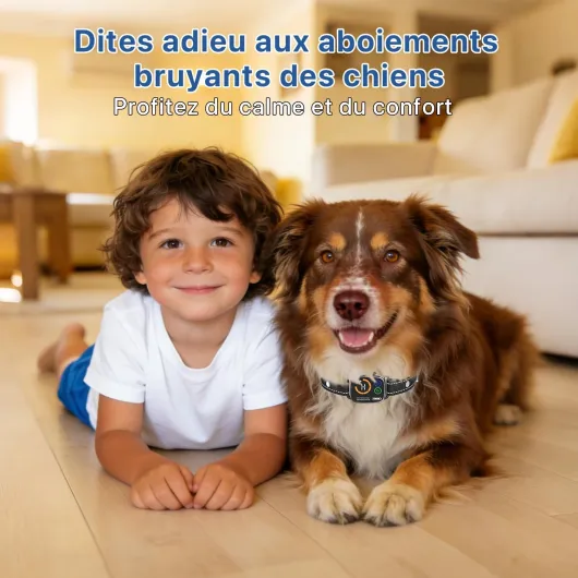Collier Anti Aboiement Chien, Collier Electrique pour Chien 6 Niveaux de Sensibilité, Collier Anti-aboiement Intelligent 3 Modes, Étanche IP67 pour Petit Moyen Grand Chien - Noir