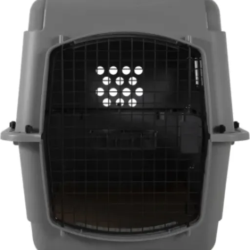 Test Beeztees Skykennel 3 IATA : la caisse de transport qui fait le job pour l’avion et la voiture