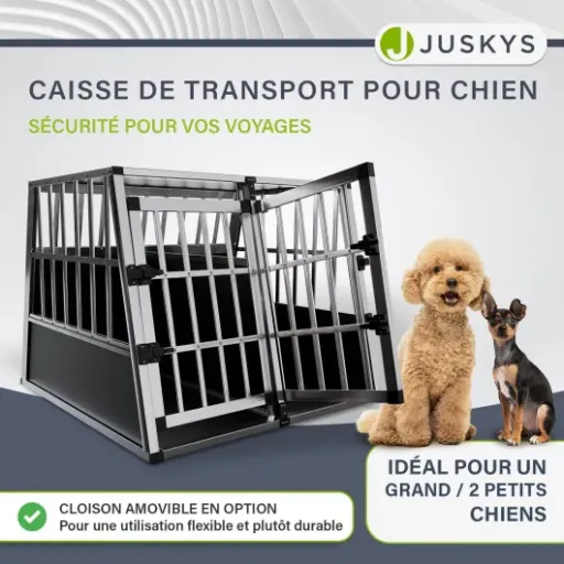 Test Juskys Caisse de Transport en Aluminium XL : grande, légère… mais pas faite pour tous les chiens