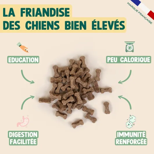 Friandises pour Chien Dressage – Spéciales Éducation – Riche en Agneau – sans Céréales – Peu Calorique – Fermeture Intégrée – Sachet Recyclable - 150 g (Lot de 2) Agneau 150 g (Lot de 2)