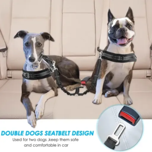 Test SlowTon Double Ceinture Chien Voiture : enfin deux chiens attachés sans bazar sur la banquette