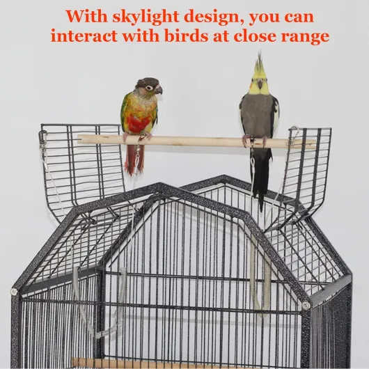 Cage à Oiseaux, Grande Luxe Métal Cage à Perroquet, avec Support Roulant, Poteau Debout, mangeoire, Accessoires de Jouets, pour perruches et perroquets Gris d'Afrique, 45,5x45,5x97 cm