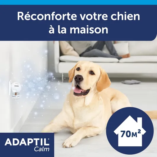 81GTPgZP9LL._AC_SL1500_