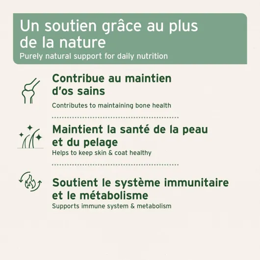 Gélules d’Huile de Saumon 500 pour Chiens & Chats – Poisson Riche en Oméga‑3 & 6, Vitamines pour Pelage, Os et Santé Globale