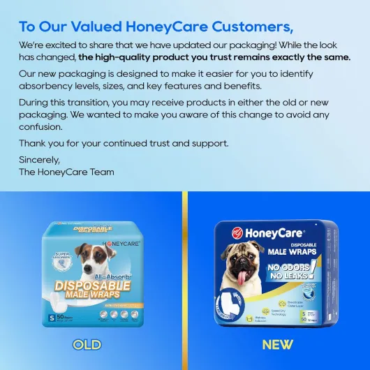 All-Absorb A26 Lot de 50 bandages pour chien mâle, taille S S (Lot de 50)