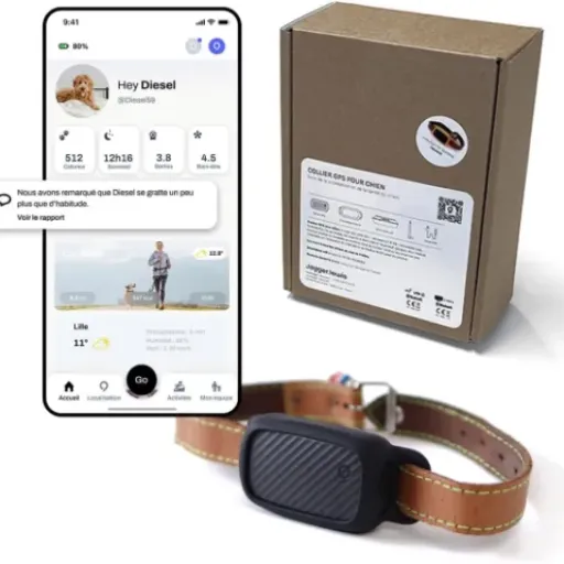 Test JAGGER LEWIS GPS pour Chien : le collier sans abo qui tente de tout faire
