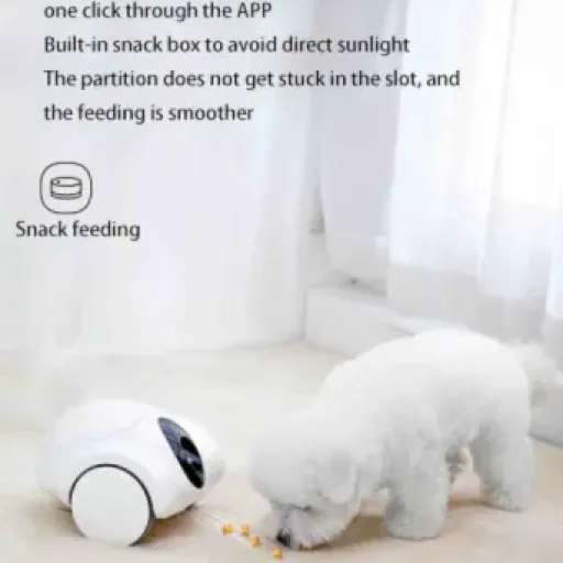 Test caméra pour animaux avec distributeur de friandises : pratique pour surveiller, perfectible pour le reste