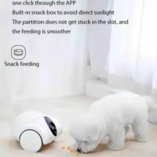Test Caméra interactive pour animaux : gadget sympa pour surveiller le chien… avec quelques limites