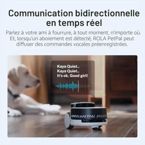 Test Enabot EBO ROLA PetPal 2.5K : la caméra-robot pour surveiller son chat à distance sans se prendre la tête