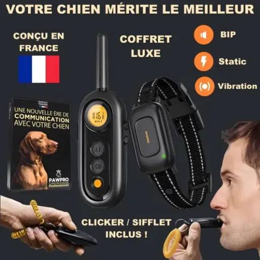 Test PAWPRO Collier de Dressage Chien : un collier qui fait le job sans prise de tête