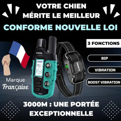 Test PAWPRO Collier de Dressage : un collier sans choc qui fait (globalement) le job