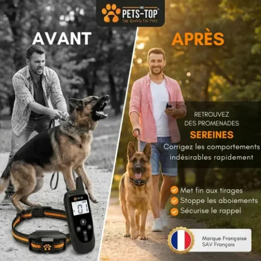 Test One PETS-TOP Collier De Dressage P20 : le collier qui calme enfin les fugues et les aboiements (sans se ruiner)