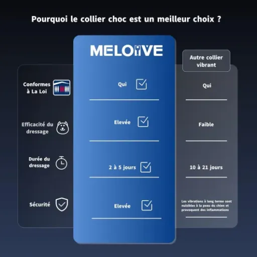 Test Meloive 3 en 1 : un collier de dressage qui fait le job sans trop se compliquer la vie