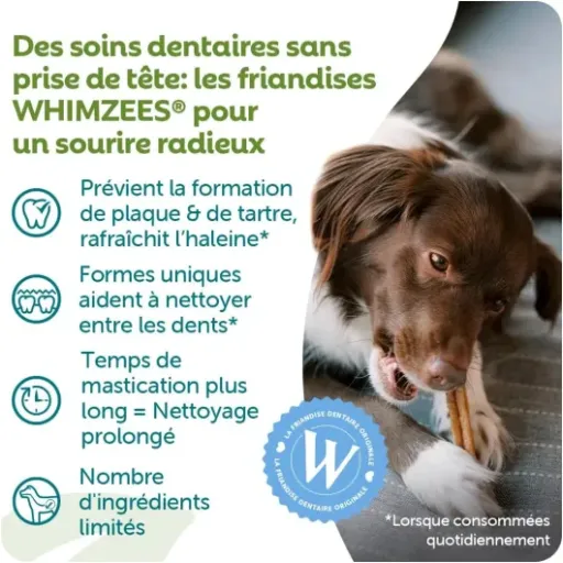 Test WHIMZEES Boîte de Variété M : des bâtons dentaires durs qui occupent bien le chien